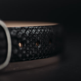 Men's Belt Exotic Original Python